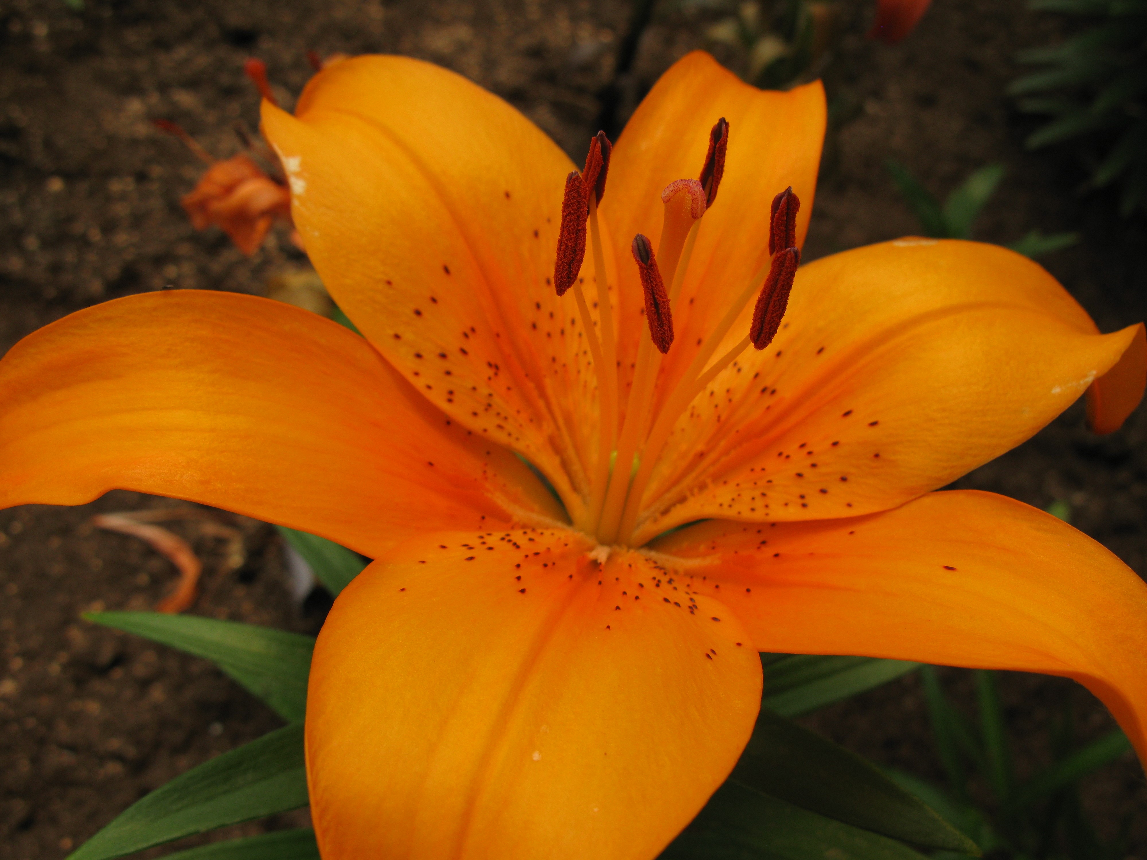 云锦宝贝 云锦宝贝