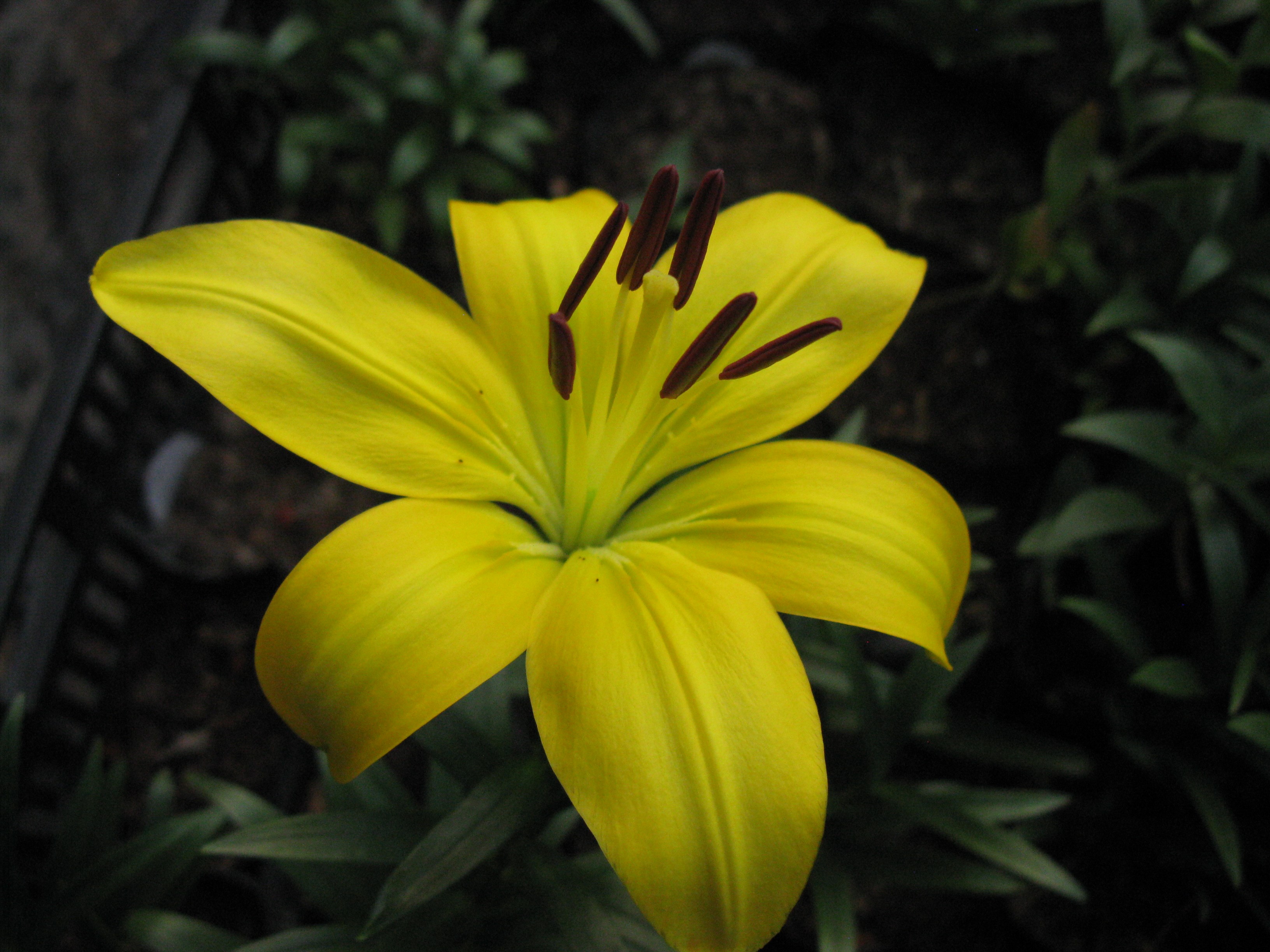 太阳宝贝 太阳宝贝