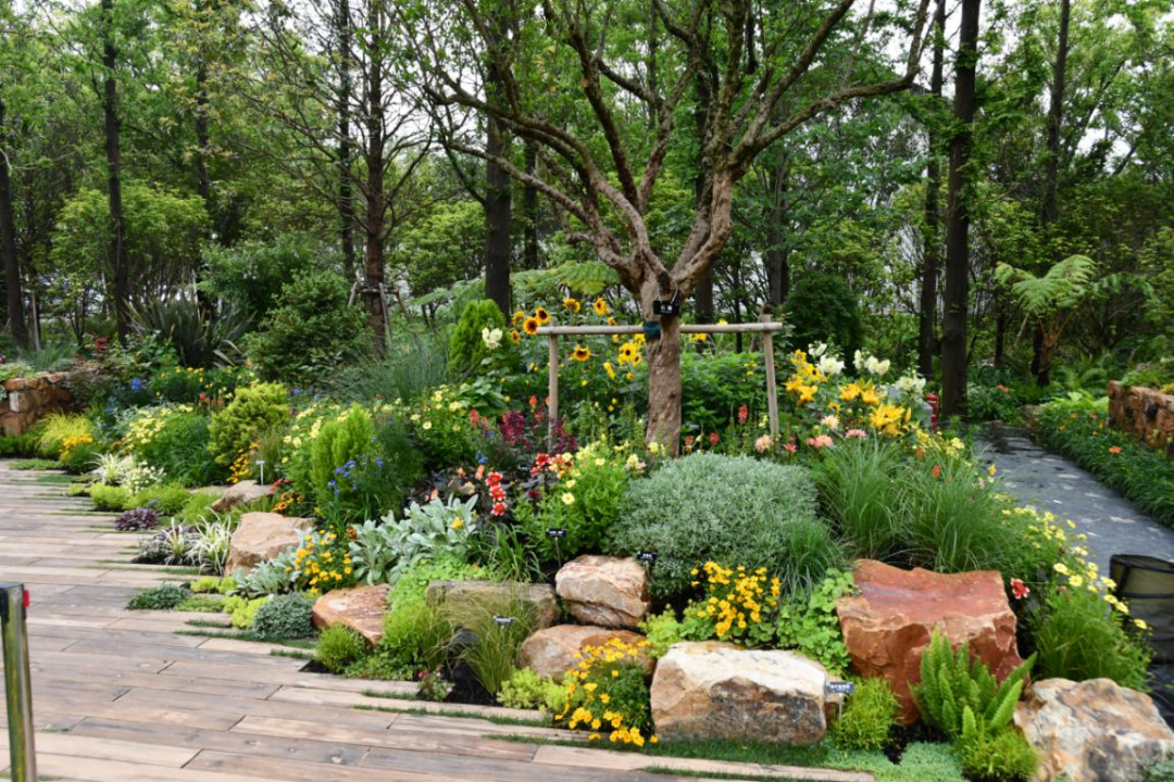 第十届花博会上海园花境 第十届花博会上海园花境