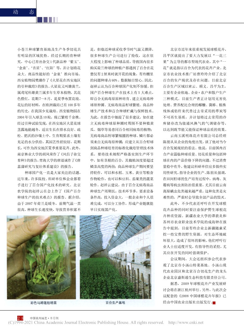 CSBP04 集思广益 探讨球根花卉新发展——2008球根花卉产业发展研讨会在北京成功举办_钟云芳_2