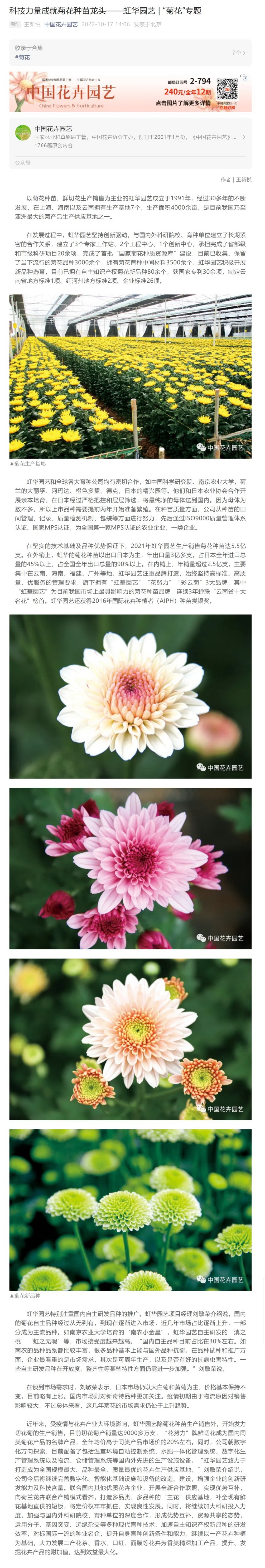 科技力量成就菊花种苗龙头-虹华园艺 “菊花”专题