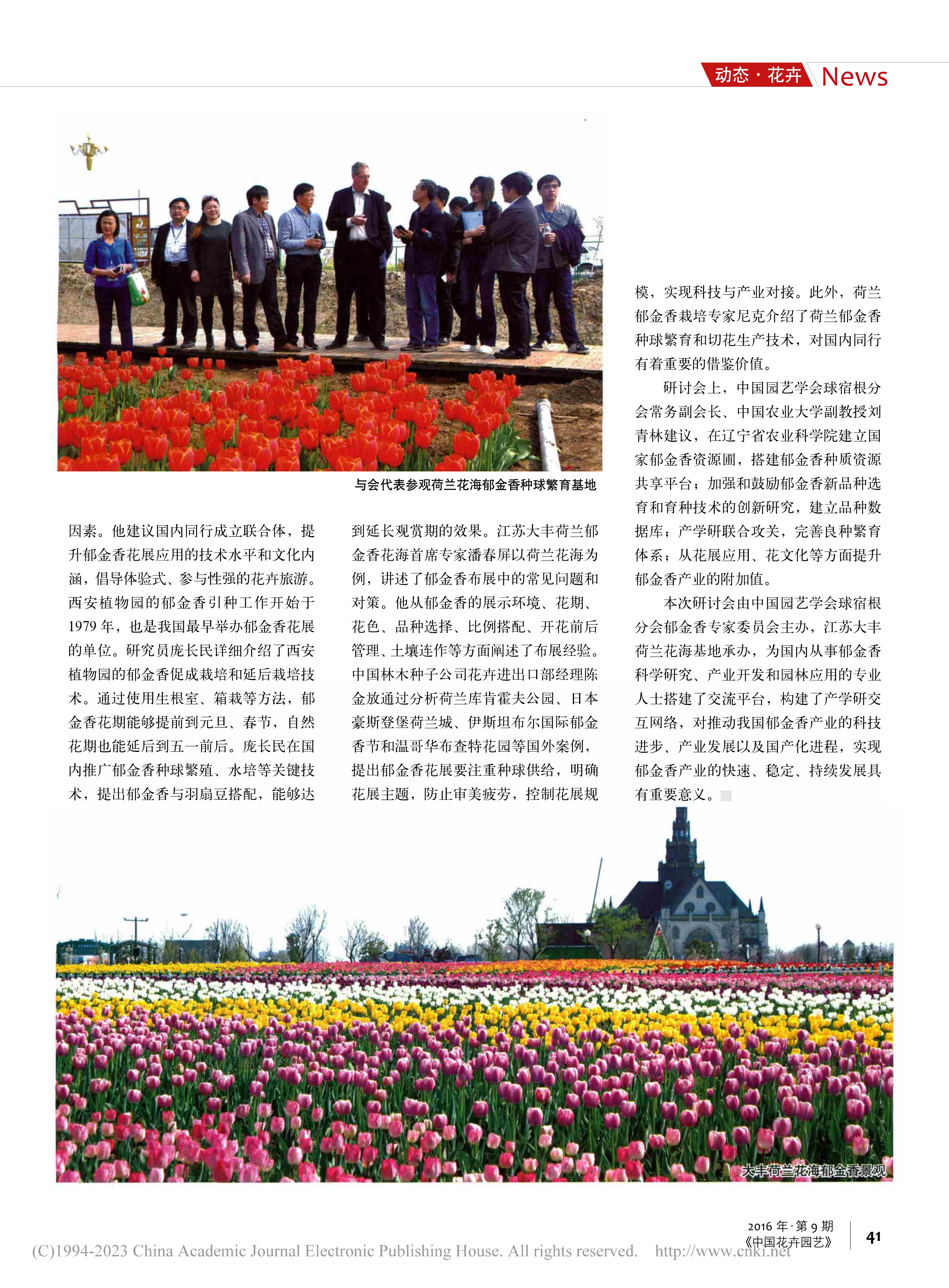 Tulip 01 首届郁金香国产化暨花园应用研讨会在江苏大丰召开_妍然_2
