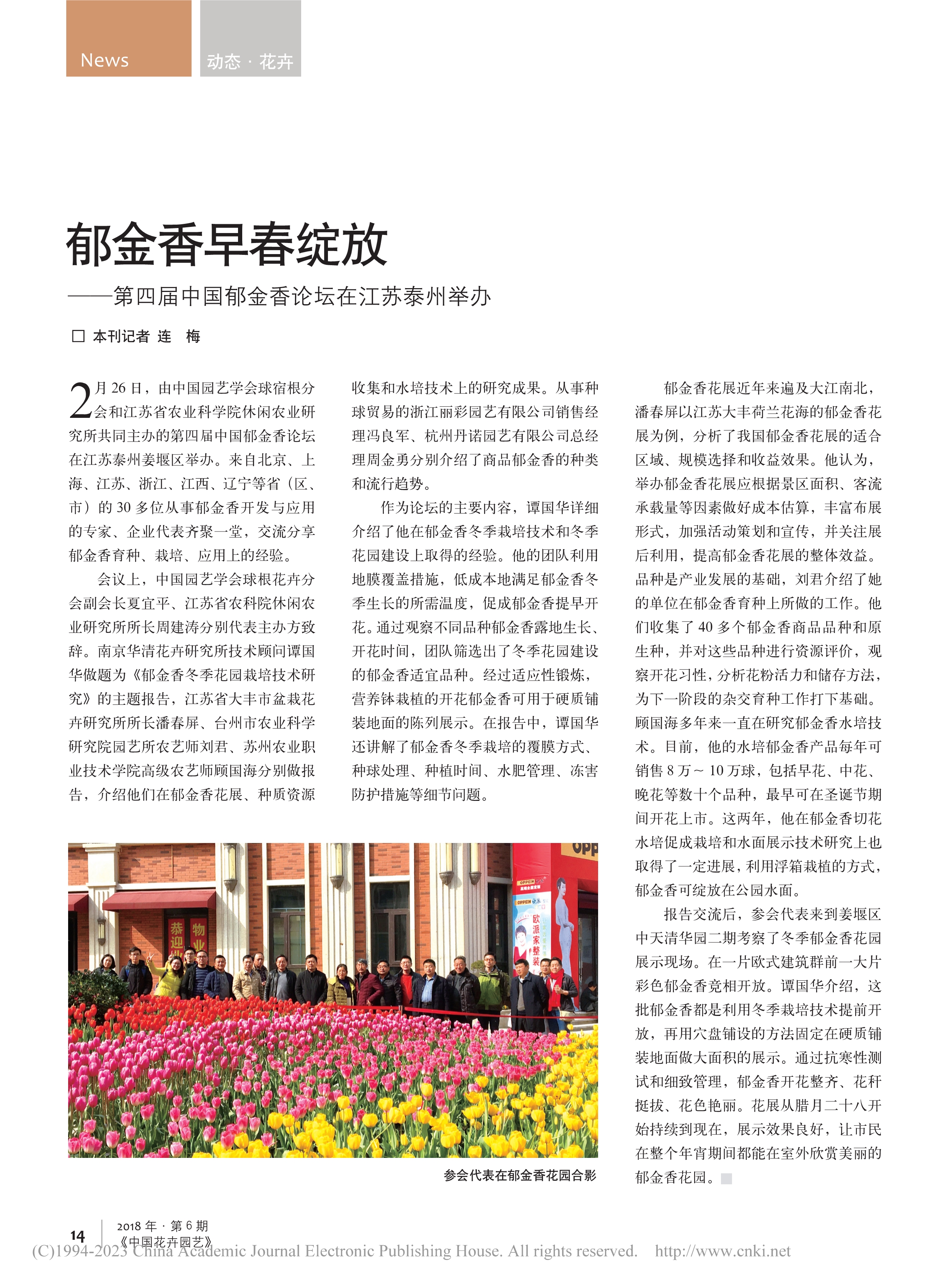 Tulip 04 郁金香早春绽放——第四届中国郁金香论坛在江苏泰州举办_连梅_1