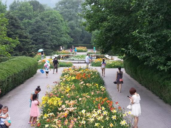 C:\Documents and Settings\Administrator\桌面\北植宿根园及科研照片\20130714_155218.jpg