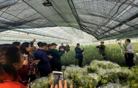 C:\Users\admin\AppData\Local\Temp\WeChat Files\9346ce5aa5d92c631dd07e688d10da6.jpg