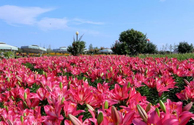 QQ图片20180820180304