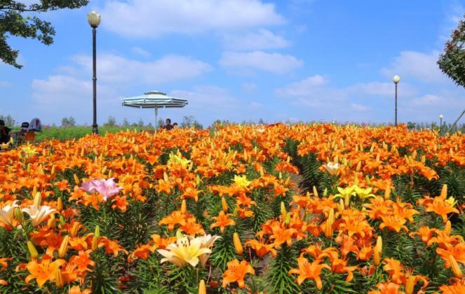 QQ图片20180820180321