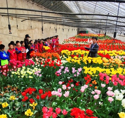 E:\花卉i\郁金香\郁金香育种课题\2017\摄影大赛\1获奖作品\优秀奖\付敏华-小学生参观.JPG