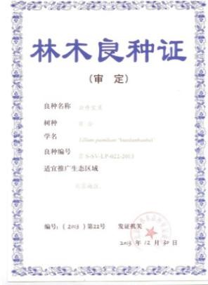 G:\张克资料\教师办公司文件\2017资料\公司申报所有资料\jpg图片格式\百合良种4.jpg