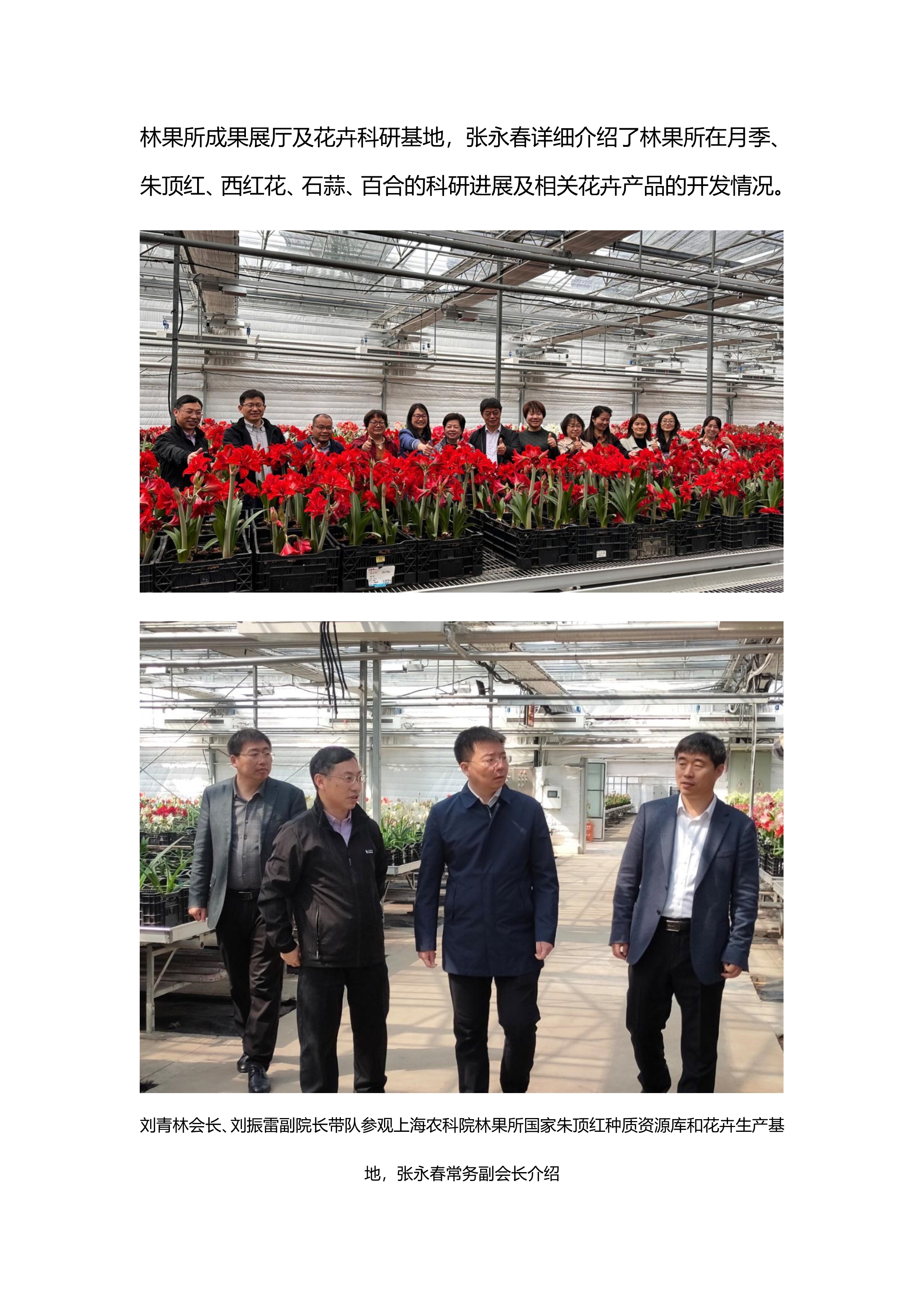 第八届中国郁金香研讨会总结_20240504110035_21