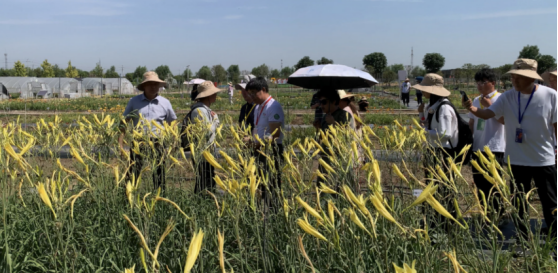 40第四届萱草学术与产业研讨会在西安召开3164 40第四届萱草学术与产业研讨会在西安召开3164